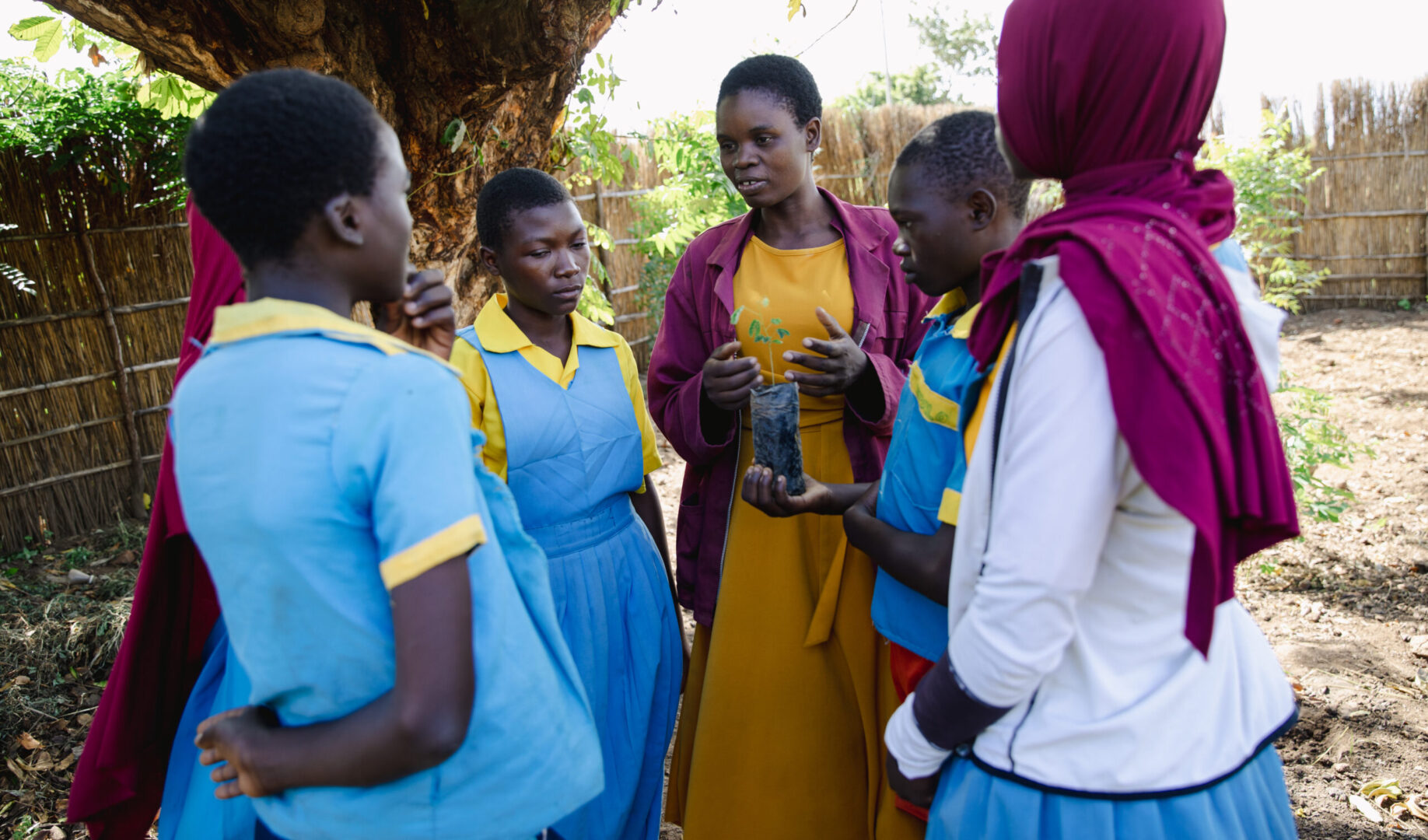 Edukans-2025-March-Malawi-Basic-Education-Eco-star-schools children students plant tree Teacher Jenipher Chingadza