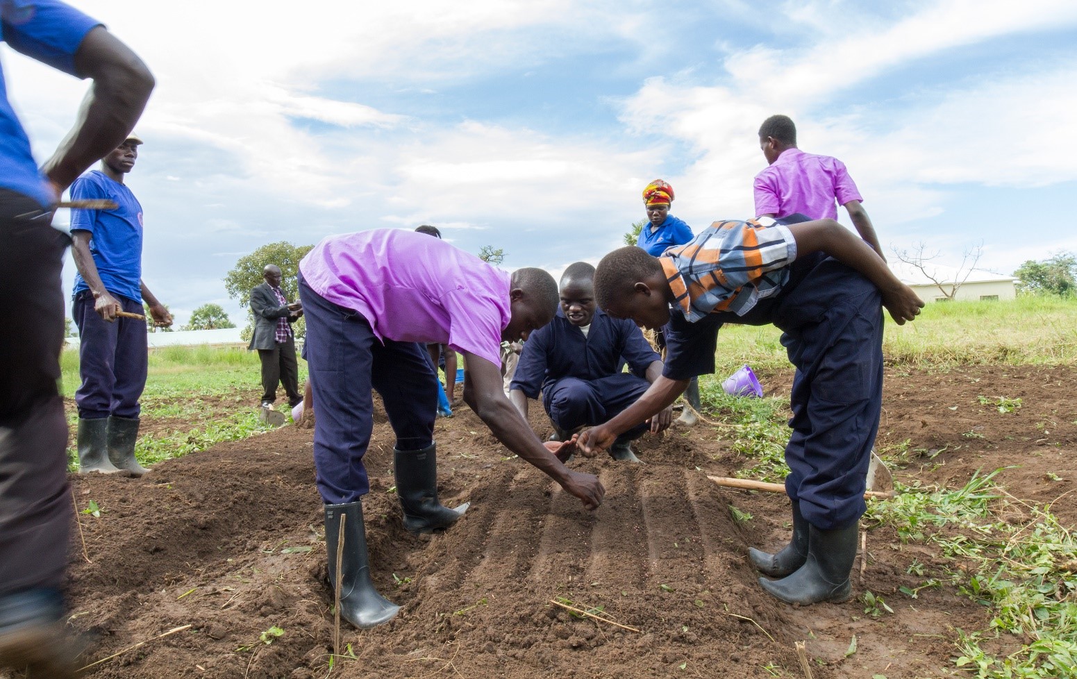 Niet-opgeleide jongeren worden ondernemende boeren