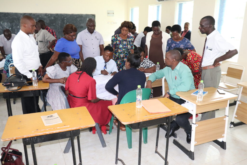 School-based Blended Education Mentorship Program (SBEMPro) - Project-Malawi-onderwijs-docententraining (2)