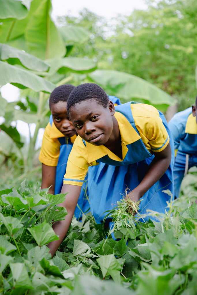 Edukans-2025-NL-Malawi-Basisonderwijs-groen-onderwijs-eco-star