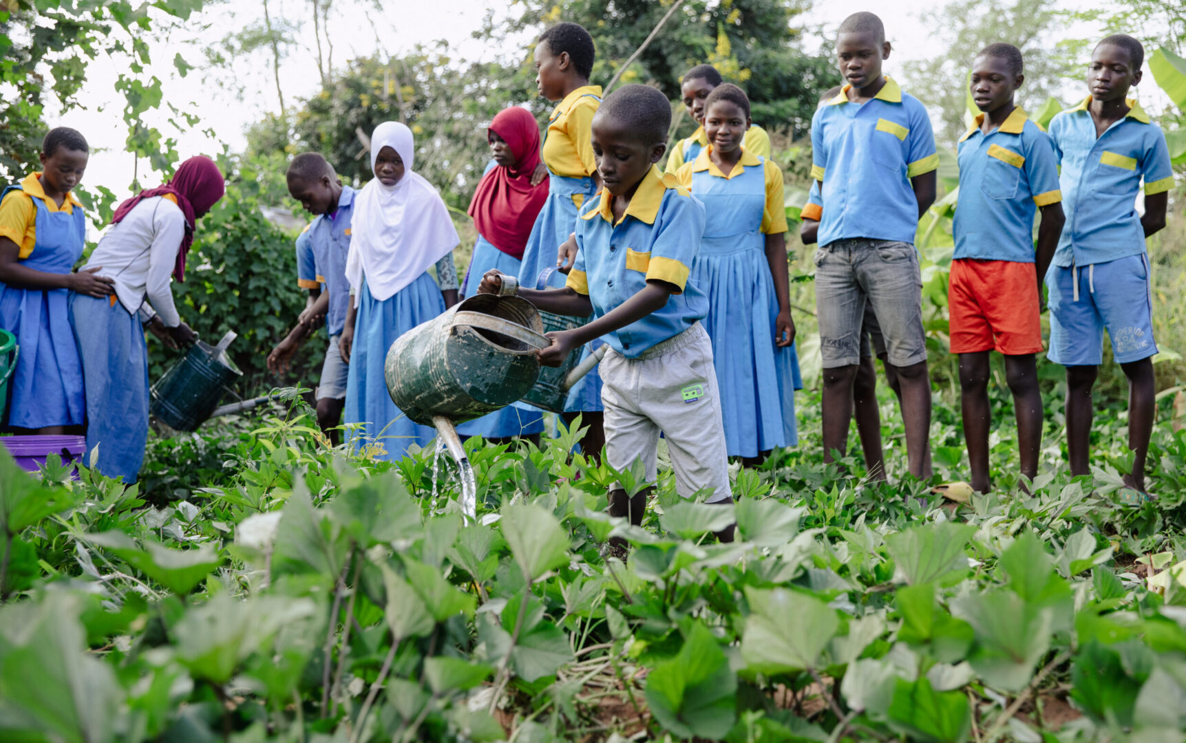 Edukans-2025-NL-Malawi-Basisonderwijs-groen-onderwijs-eco-star