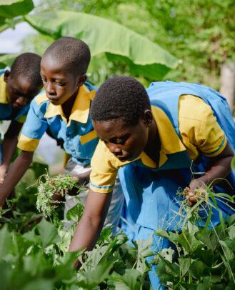 Edukans-2025-NL-Malawi-Basisonderwijs-groen-onderwijs-eco-star