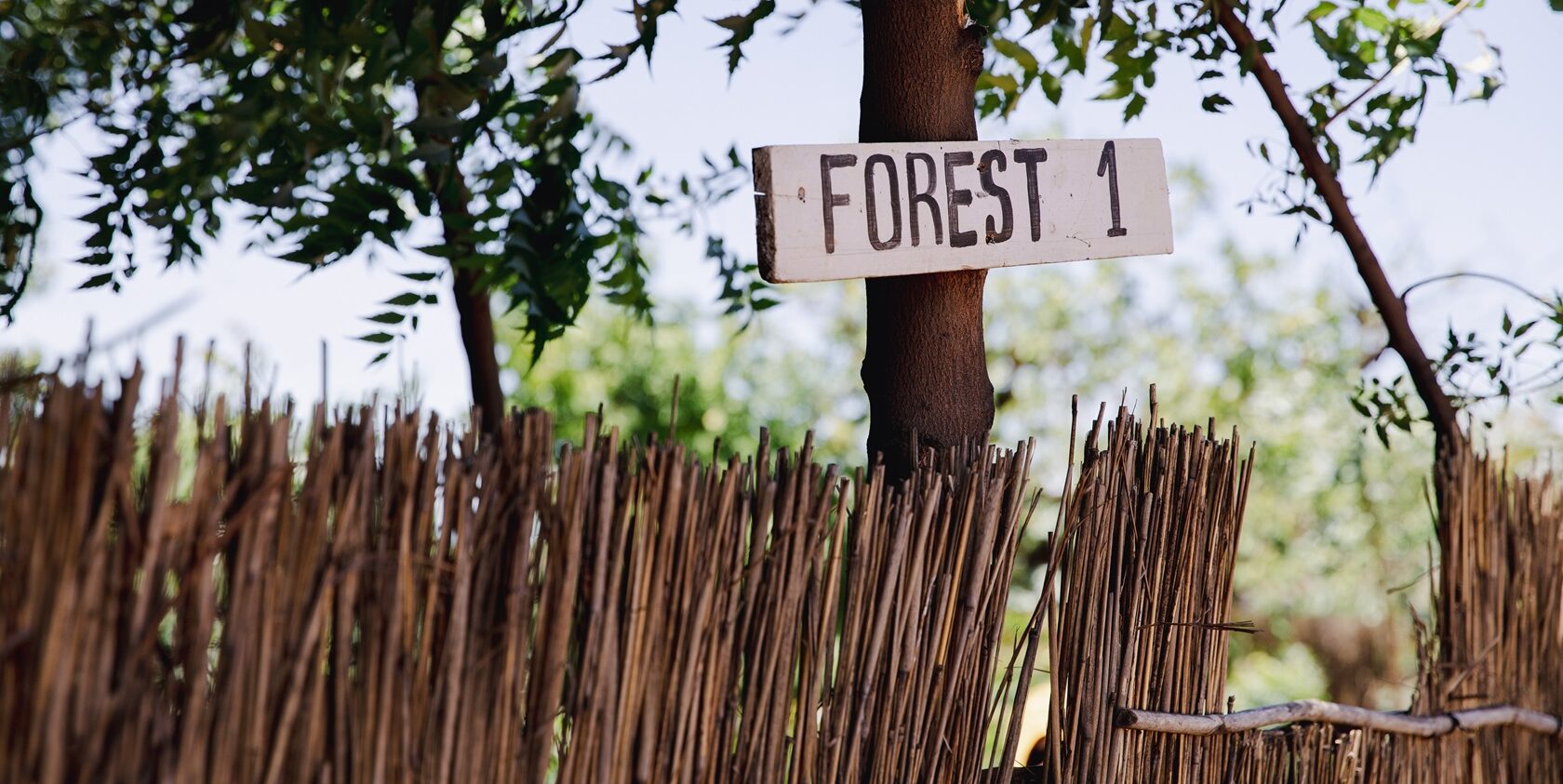 Edukans-2025-March-Malawi-Basic-Education-Eco-star-schools Chikowa school sign Forest