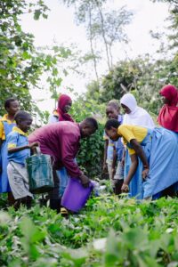 Edukans-2025-March-Malawi-Basic-Education-Eco-star-schools Teacher Shadrick Joseph class year 7 in schoolgarden watering the plants 3 - small