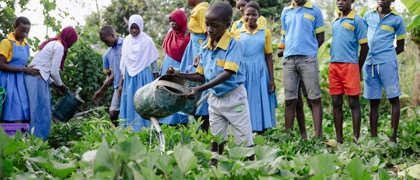 Edukans-2025-March-Malawi-Basic-Education-Eco-star-schools Teacher Shadrick Joseph class year 7 in schoolgarden watering the plants boy - small