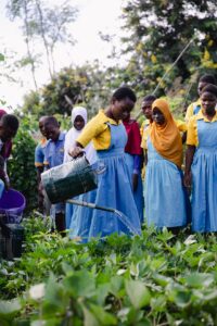 Edukans-2025-March-Malawi-Basic-Education-Eco-star-schools Teacher Shadrick Joseph class year 7 in schoolgarden watering the plants girl - small