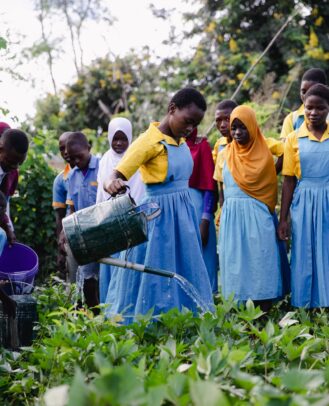 Edukans-2025-March-Malawi-Basic-Education-Eco-star-schools Teacher Shadrick Joseph class year 7 in schoolgarden watering the plants girl - small