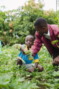 Edukans-2025-March-Malawi-Basic-Education-Eco-star-schools Year 7 and Teacher Shadrick Joseph and Boy vegetable garden weeding 3 - small