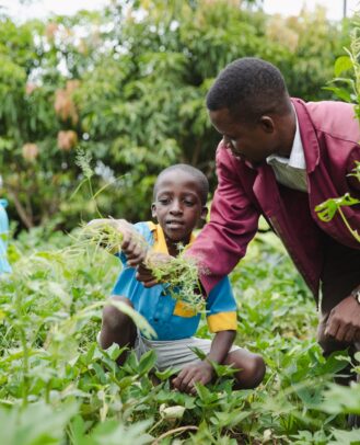 Edukans-2025-March-Malawi-Basic-Education-Eco-star-schools Year 7 and Teacher Shadrick Joseph and Boy vegetable garden weeding 3 - small