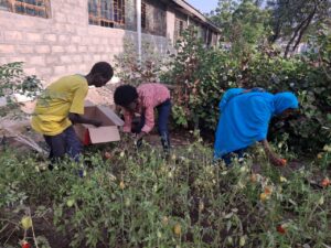 Scholieren werken in tuin Ethiopië onderwijs Edukans