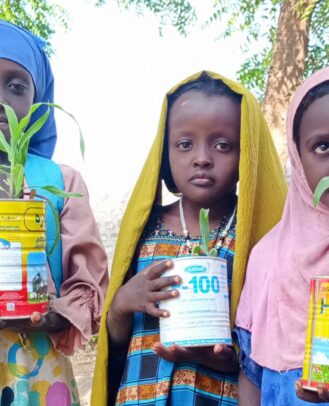 Ethiopia projectupdate school greening girls plant garden