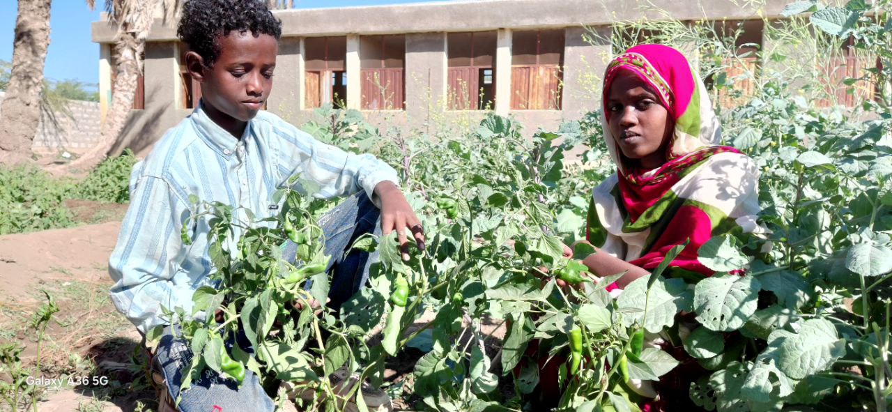 Edukans Ethiopia 2025 October Education-in-emergencies School greening Children in Garden Boy and Girl